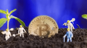 How Yield Farming Works in Cryptocurrency