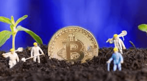 How Yield Farming Works in Cryptocurrency